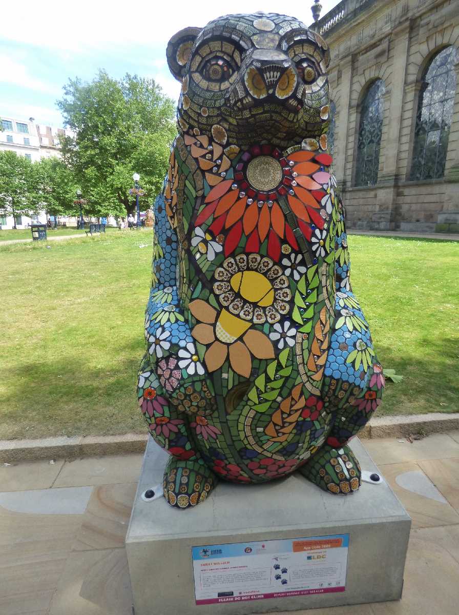Big Sleuth Cathedral Square